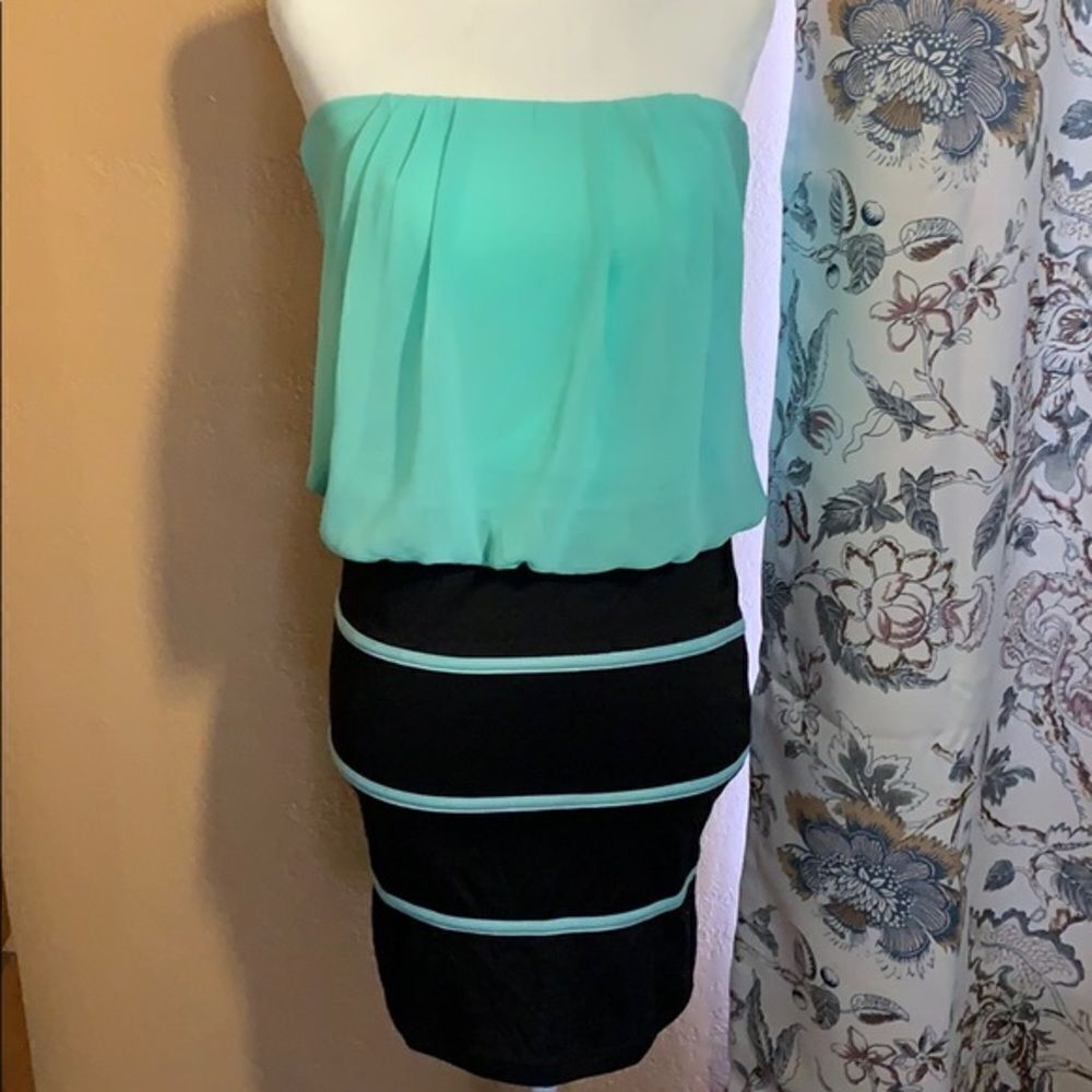NWOT Zen Spell Strapless Dress